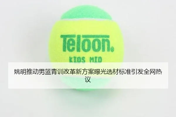 姚明推动男篮青训改革新方案曝光选材标准引发全网热议