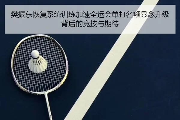 樊振东恢复系统训练加速全运会单打名额悬念升级背后的竞技与期待